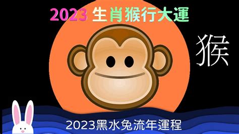 2023猴年運程1980顏色|【1980猴】1980猴命運解讀！五行屬性與2023年運勢全攻略